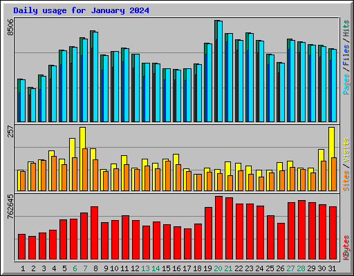 Daily usage for January 2024