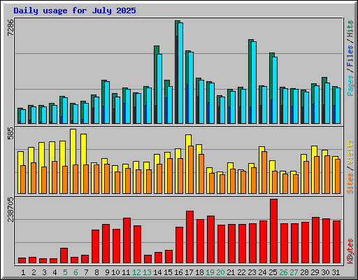 Daily usage for July 2025