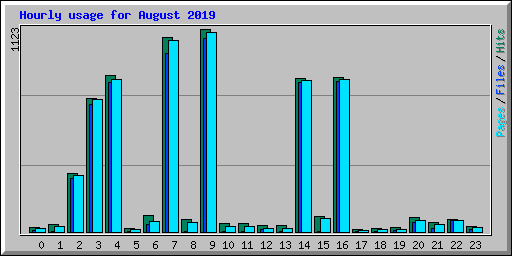 Hourly usage for August 2019