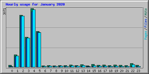 Hourly usage for January 2020