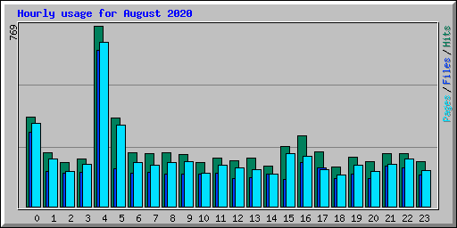 Hourly usage for August 2020