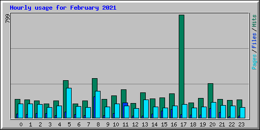 Hourly usage for February 2021