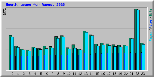 Hourly usage for August 2023
