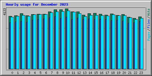 Hourly usage for December 2023