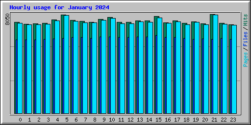Hourly usage for January 2024