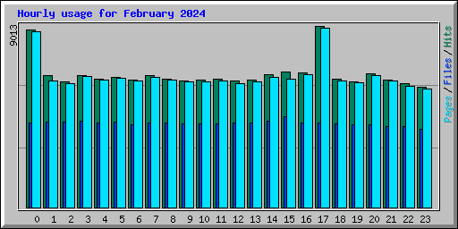 Hourly usage for February 2024