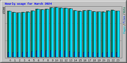 Hourly usage for March 2024