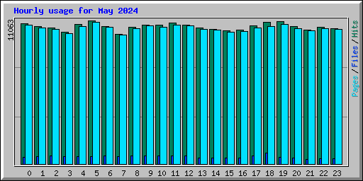 Hourly usage for May 2024