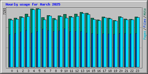 Hourly usage for March 2025