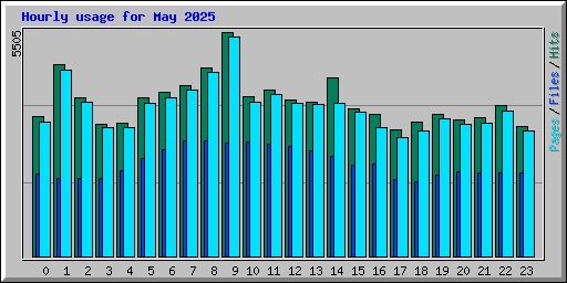 Hourly usage for May 2025
