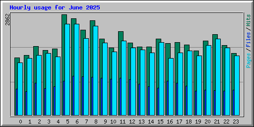 Hourly usage for June 2025