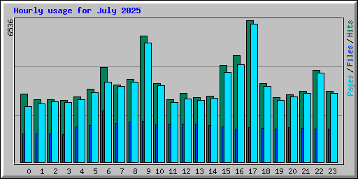 Hourly usage for July 2025