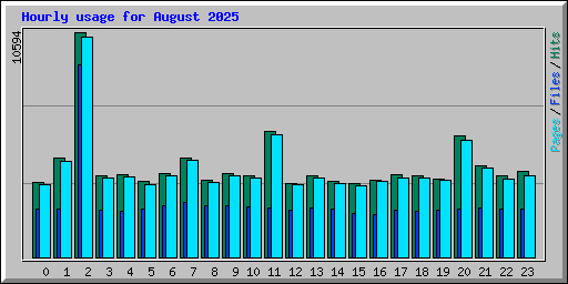 Hourly usage for August 2025