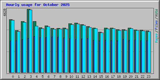 Hourly usage for October 2025