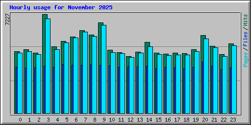 Hourly usage for November 2025