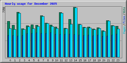 Hourly usage for December 2025