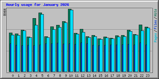 Hourly usage for January 2026