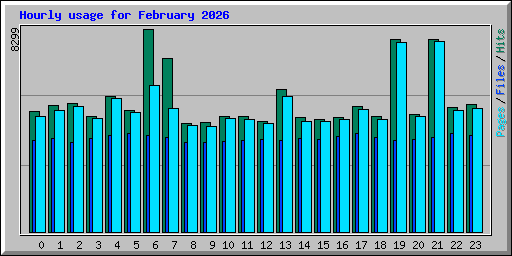 Hourly usage for February 2026